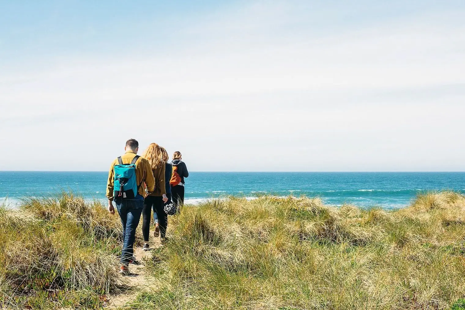 Seaside paths and dunes