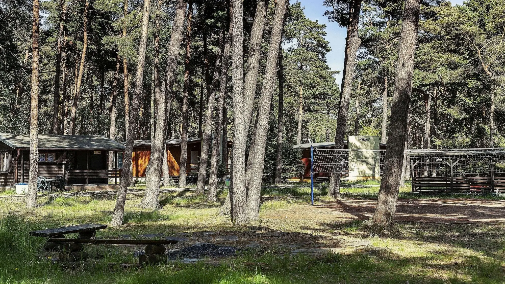 Resort grounds in the pine forest