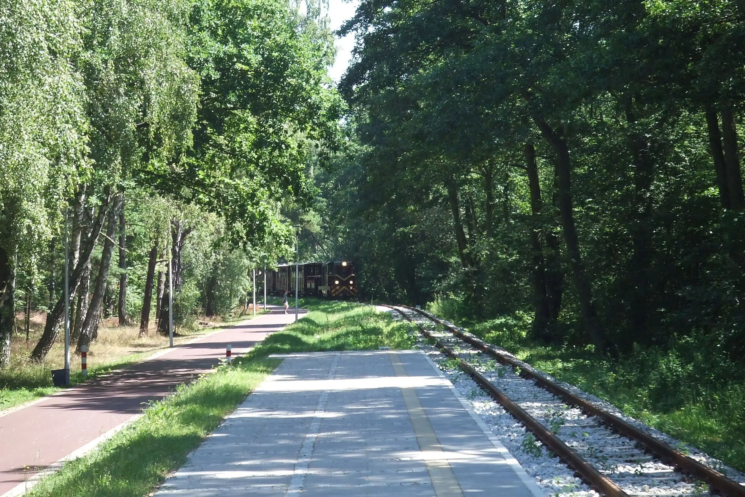 Cycling routes on the Rewal Coast